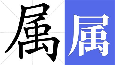 屬 英文|属 meaning